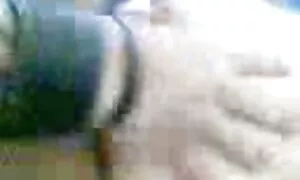 मलय कार्रवाई 5 माथै  ...